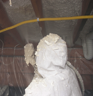  MT crawl space insulation
